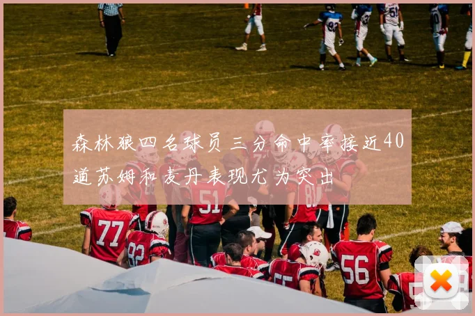森林狼四名球员三分命中率接近40道苏姆和麦丹表现尤为突出